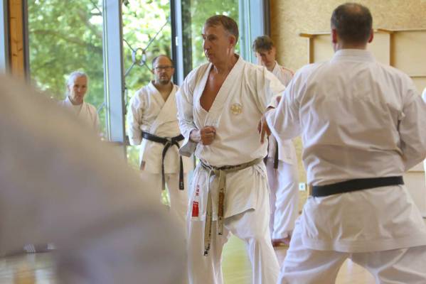 Karate in der Nähe, Karatefestival