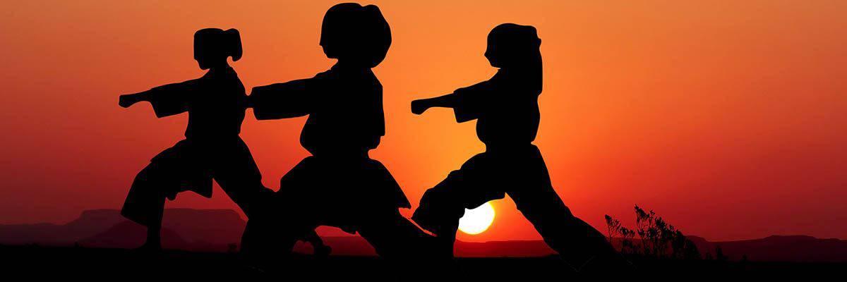 Karate in der Nähe Symbolfoto 